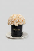 27 Rose Éternelle Beige